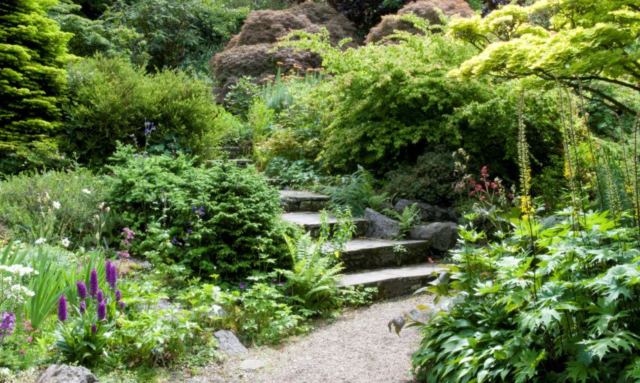 Branklyn Garden (National Trust for Scotland), United Kingdom